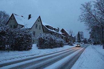 winter2010-11a.jpg (21326 Byte)